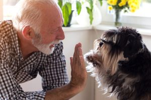 older adult interacting with dog