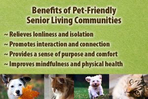 benefits of pet friendly senior living communities