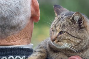 senior man with cat